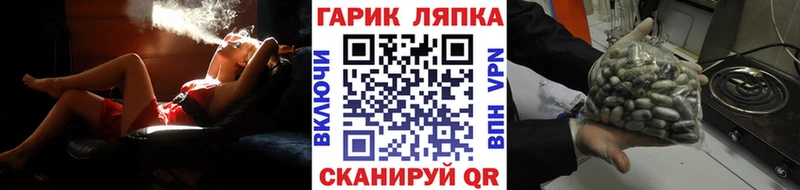 дарк нет наркотические препараты  omg как войти  Тбилисская  ГАШИШ гарик 