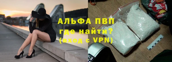 индика Киренск
