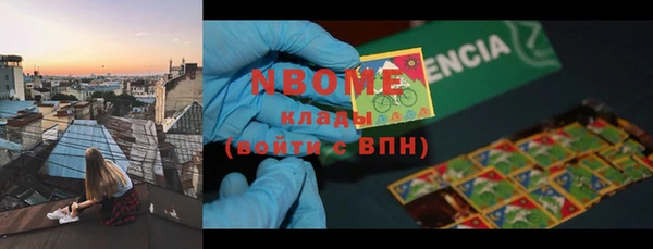 индика Киренск