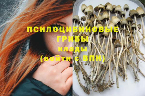 a pvp Киреевск