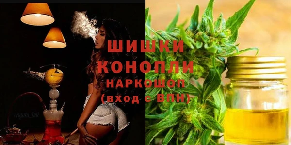 индика Киренск