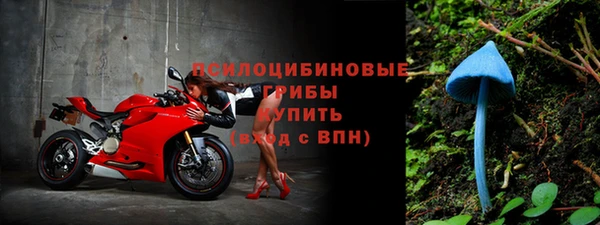 стаф Кинешма