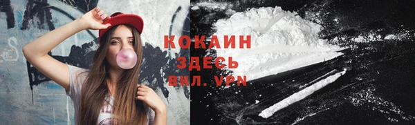 индика Киренск